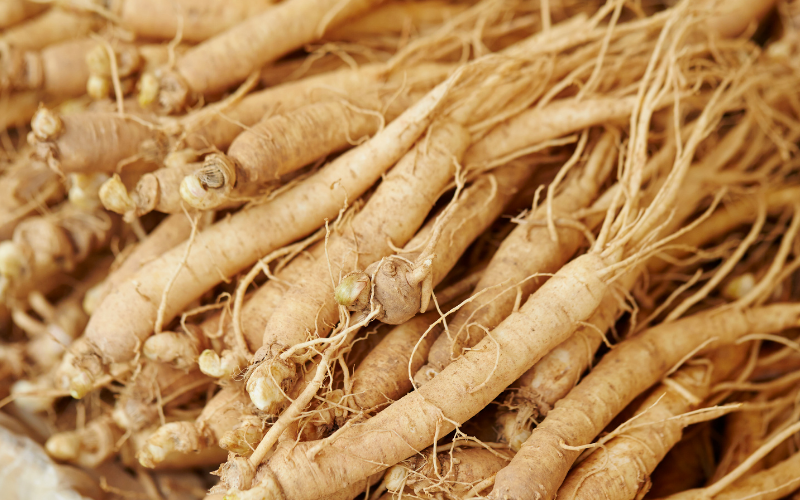 Ginseng