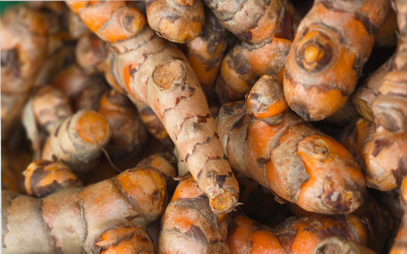 Turmeric
