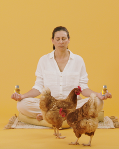 Why Recovery Matters More Than You Think